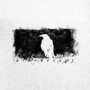 Black Crows avatar